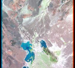 Lake Hamoun - August 1999