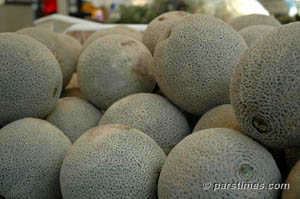 Cantaloupe