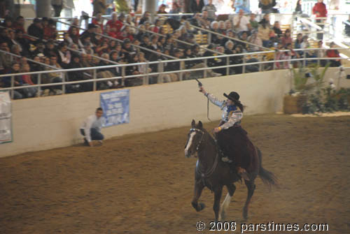 Equestfest - Burbank (December 28, 2008) - by QH