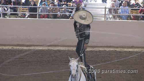 Equestfest - Burbank (December 28, 2008) - by QH