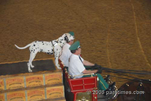 Budwiser Clydesdales - Burbank (December 28, 2008) - by QH