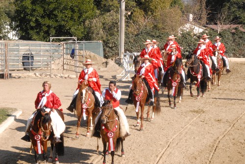 Southern California Peruvian Paso - Burbank (December 29, 2009) - by QH