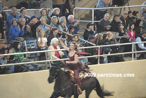 Giddy Up Gals Equestrian Drill Team - Burbank (December 29, 2009) - by QH