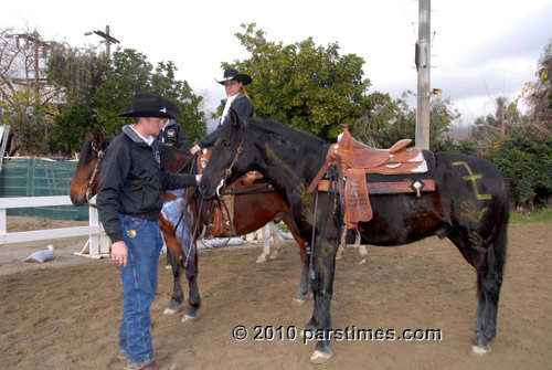 Mustangs - Burbank (December 29, 2010) - by QH