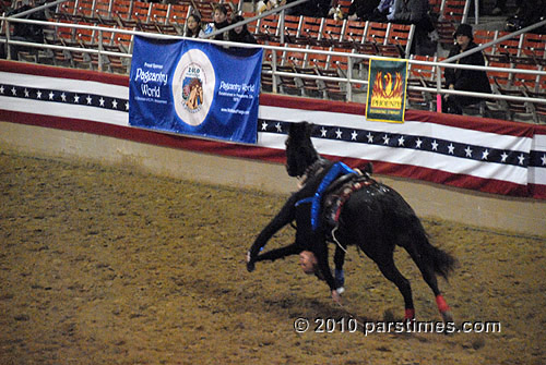 Cowgirl Chicks - Burbank (December 29, 2010) - by QH