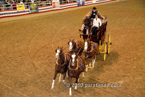 Equestfest - Burbank (December 29, 2010) - by QH