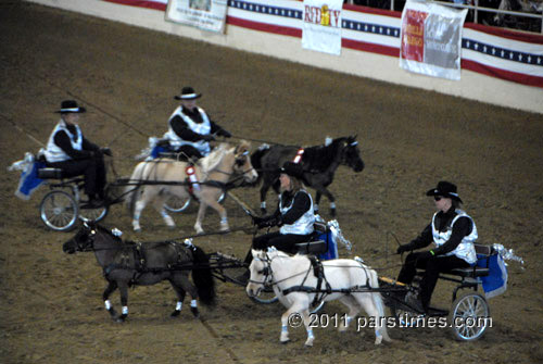 Arizona Mini Mystique miniature horse precision driving drill team - Burbank (December 30, 2011) - by QH