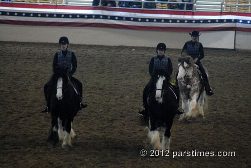 Equestfest - Burbank (December 29, 2012) - by QH