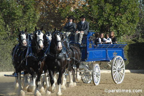 2007 Tournament of Roses Royal Court - Equestfest, Burbank  (December 29, 2006) - by QH