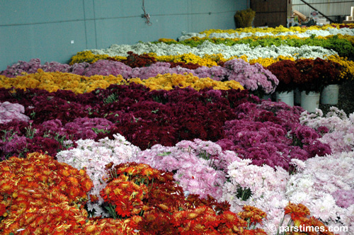 Rose Parade Float Decorations - by QH