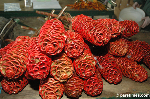 Rose Parade Float Decorations - by QH