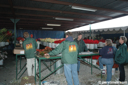 Rose Parade Float Decorations - by QH