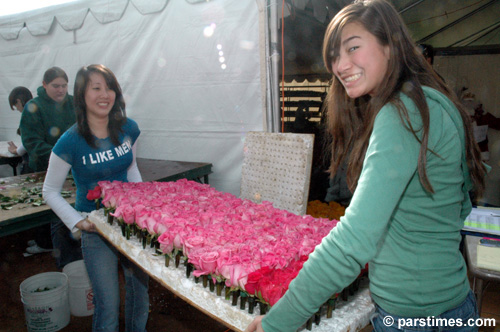 Rose Parade Float Decorations - by QH