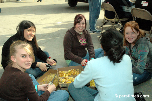 Rose Parade Float Decorations - by QH