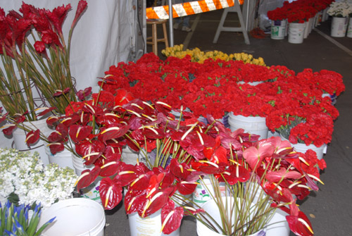 Flower Room, Pasadena (December 28, 2009) - by QH