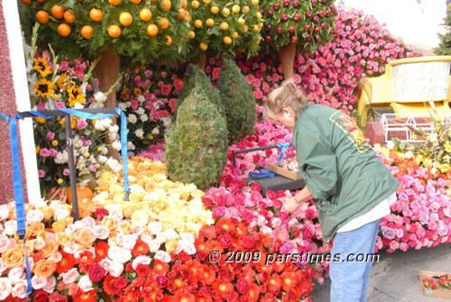 A volunteer working on decorations - Pasadena (December 31, 2009) - by QH