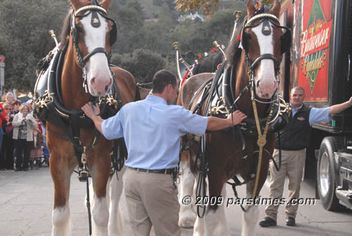 Budweiser - Pasadena (December 31, 2009) - by QH