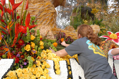 A Volunteer working on decorations - Pasadena (December 31, 2009) - by QH