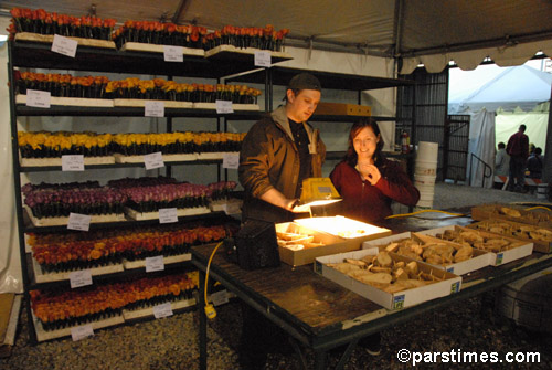 Float Decorations, Rose Palace - Pasadena (December 30, 2006) - by QH