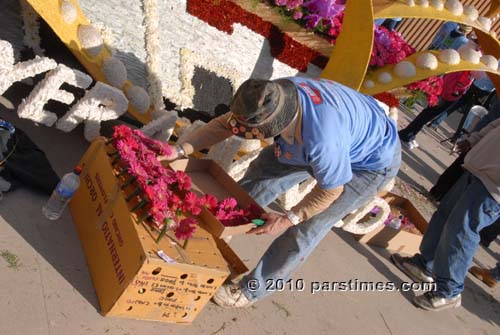 A volunteer working on a float - Pasadena (December 31, 2010) - by QH