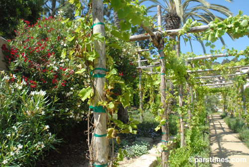 The Getty Villa - Malibu (July 31, 2006) - by QH