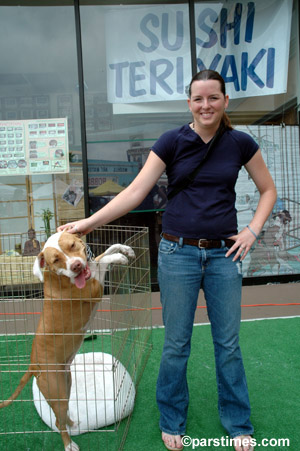 Girl petting a dog, Studio City - by QH