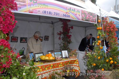 Nowruz Celebrations - Westwood (March 27, 2011) - by QH