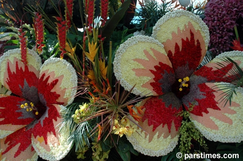 'Vacation Paradise' float - Pasadena (January 3, 2006) - by QH