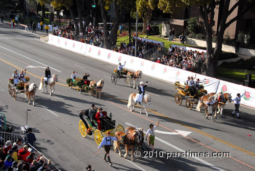 Western Haflinger Association - Pasadena (January 1, 2010) - by QH