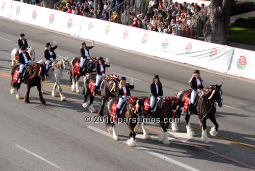 The Shire Riders - Pasadena (January 1, 2010) - by QH