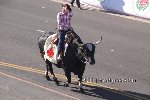 Wild West Willie (January 1, 2011) - by QH