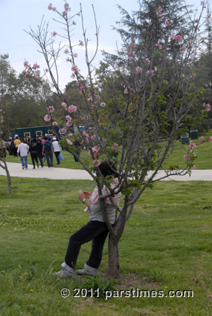 Sizdah Bedar, Balboa Park, Van Nuys - (April 3, 2011) - by QH