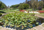 Japanese Garden, Kenneth Hahn State Park - by QH