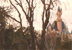 Disneyland, Anaheim - by QH