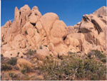 Joshua Tree National Park, by QH