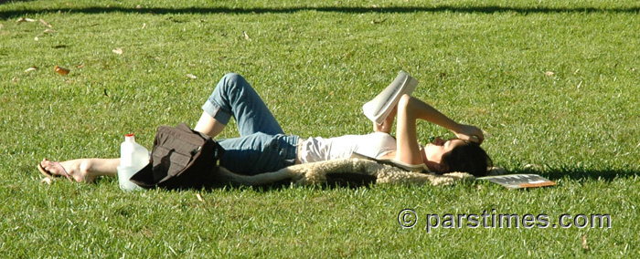 College student reading a book