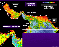 SeaWiFS image of  Persian Gulf