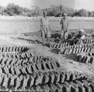 Mud Bricks being dried in Iran